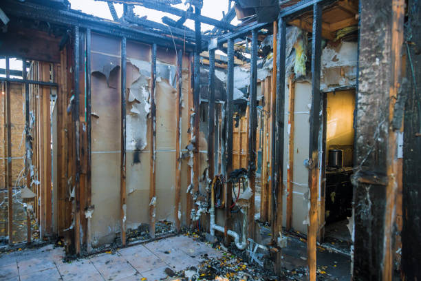 Professional Fire Damage Removal technician working in Signal Mountain, TN